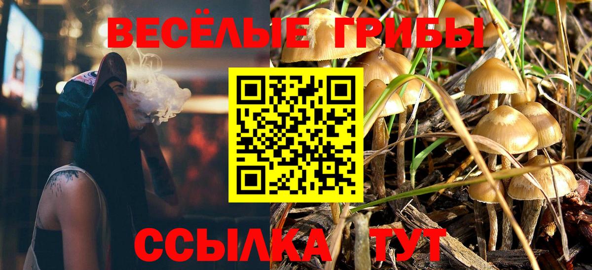 Галлюциногенные грибы GOLDEN TEACHER Нововоронеж