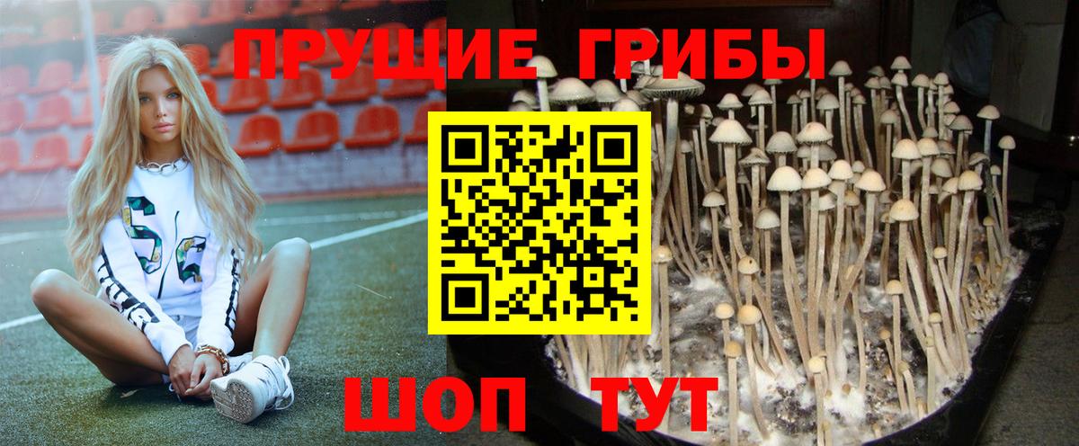 Галлюциногенные грибы ЛСД  Вход с VPN  Нововоронеж 